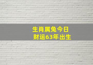 生肖属兔今日财运63年出生