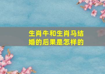 生肖牛和生肖马结婚的后果是怎样的