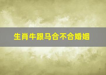 生肖牛跟马合不合婚姻