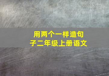 用两个一样造句子二年级上册语文