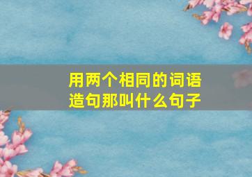 用两个相同的词语造句那叫什么句子