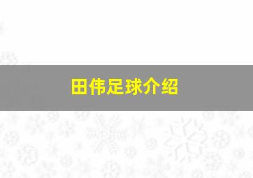 田伟足球介绍