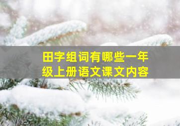 田字组词有哪些一年级上册语文课文内容