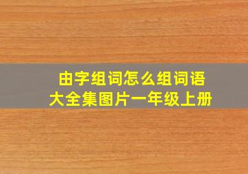 由字组词怎么组词语大全集图片一年级上册