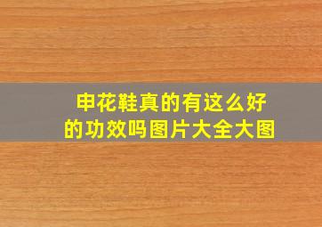 申花鞋真的有这么好的功效吗图片大全大图