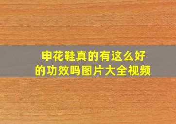 申花鞋真的有这么好的功效吗图片大全视频