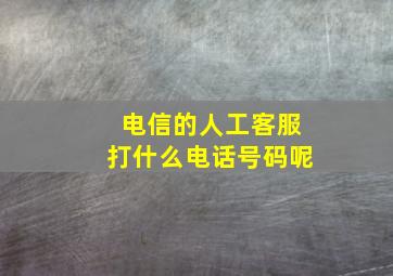 电信的人工客服打什么电话号码呢