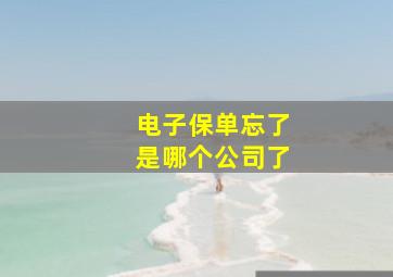 电子保单忘了是哪个公司了