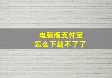 电脑版支付宝怎么下载不了了