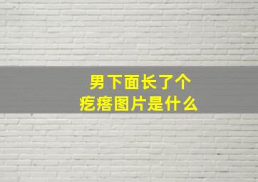 男下面长了个疙瘩图片是什么