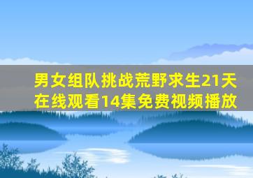 男女组队挑战荒野求生21天在线观看14集免费视频播放