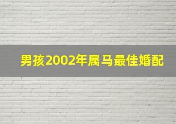 男孩2002年属马最佳婚配