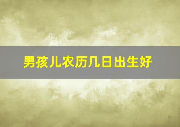 男孩儿农历几日出生好