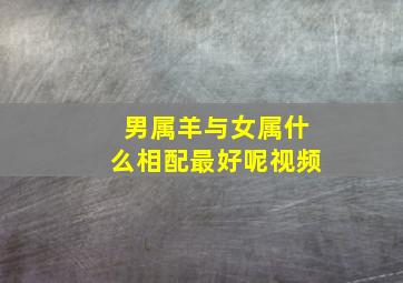 男属羊与女属什么相配最好呢视频