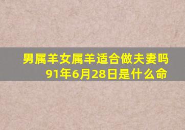 男属羊女属羊适合做夫妻吗91年6月28日是什么命