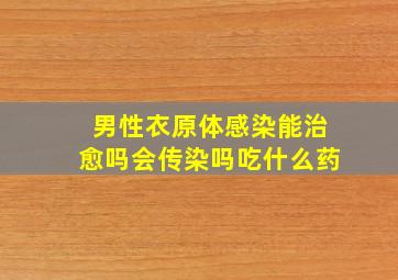 男性衣原体感染能治愈吗会传染吗吃什么药