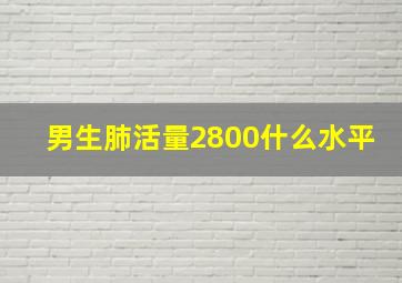 男生肺活量2800什么水平