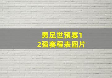 男足世预赛12强赛程表图片