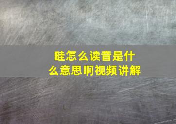 畦怎么读音是什么意思啊视频讲解