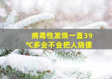 病毒性发烧一直39℃多会不会把人烧傻