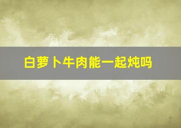 白萝卜牛肉能一起炖吗