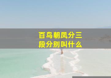 百鸟朝凤分三段分别叫什么