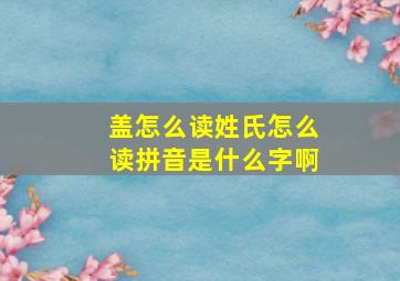 盖怎么读姓氏怎么读拼音是什么字啊