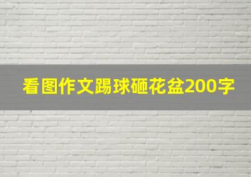 看图作文踢球砸花盆200字