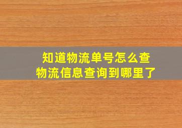 知道物流单号怎么查物流信息查询到哪里了