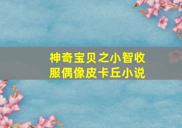 神奇宝贝之小智收服偶像皮卡丘小说