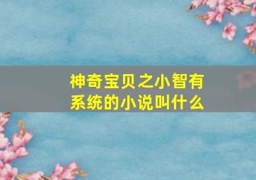 神奇宝贝之小智有系统的小说叫什么