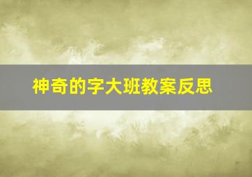 神奇的字大班教案反思