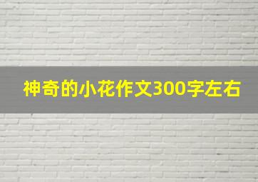 神奇的小花作文300字左右