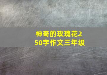 神奇的玫瑰花250字作文三年级