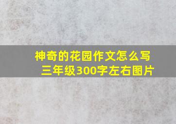 神奇的花园作文怎么写三年级300字左右图片