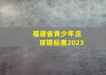 福建省青少年足球锦标赛2023