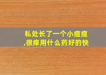 私处长了一个小痘痘,很痒用什么药好的快