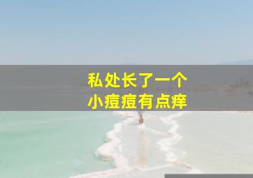 私处长了一个小痘痘有点痒