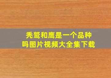 秃鹫和鹰是一个品种吗图片视频大全集下载