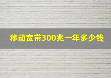 移动宽带300兆一年多少钱