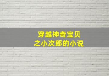 穿越神奇宝贝之小次郎的小说