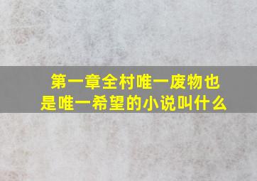 第一章全村唯一废物也是唯一希望的小说叫什么