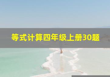 等式计算四年级上册30题