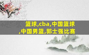 篮球,cba,中国篮球,中国男篮,郭士强比赛