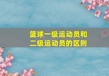 篮球一级运动员和二级运动员的区别