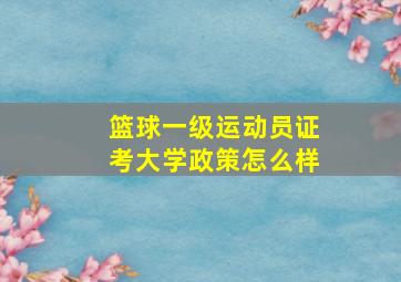 篮球一级运动员证考大学政策怎么样