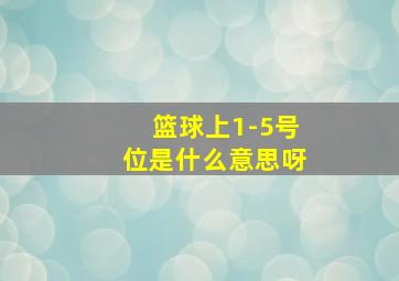 篮球上1-5号位是什么意思呀