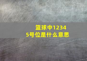 篮球中12345号位是什么意思