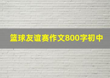 篮球友谊赛作文800字初中