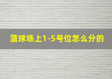 篮球场上1-5号位怎么分的